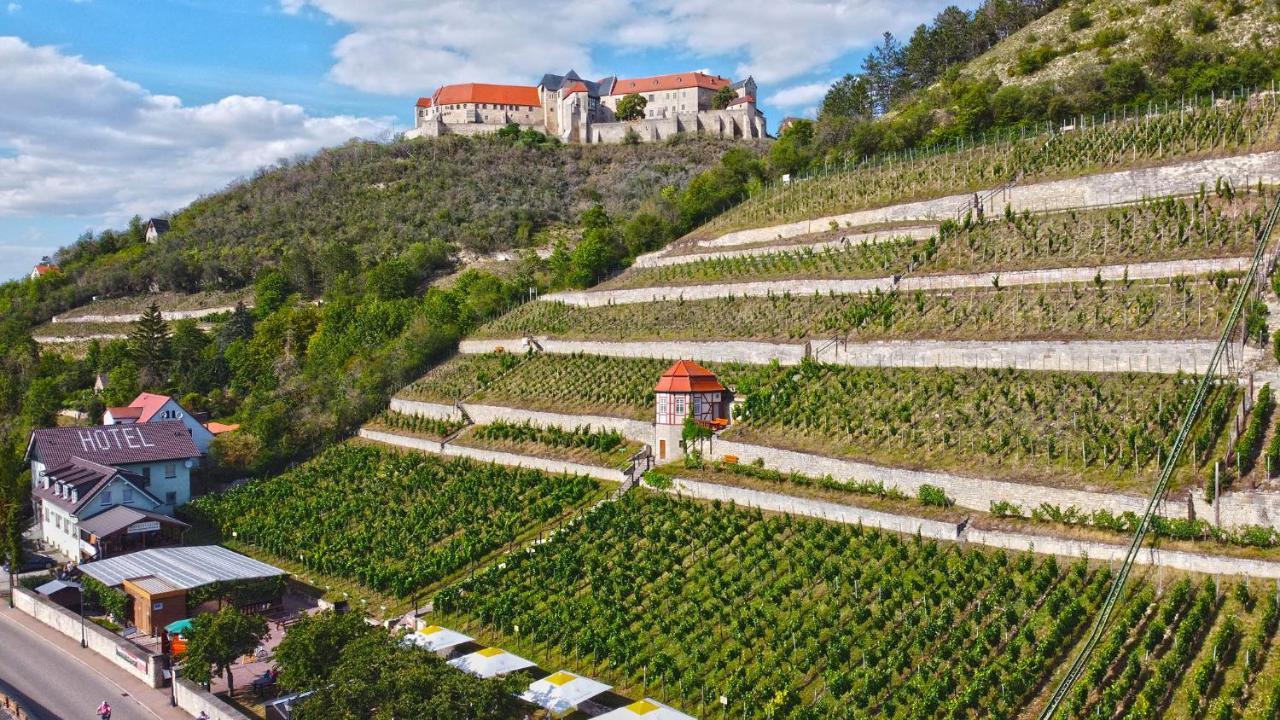 Landhotel Weingut Schulze Freyburg Extérieur photo