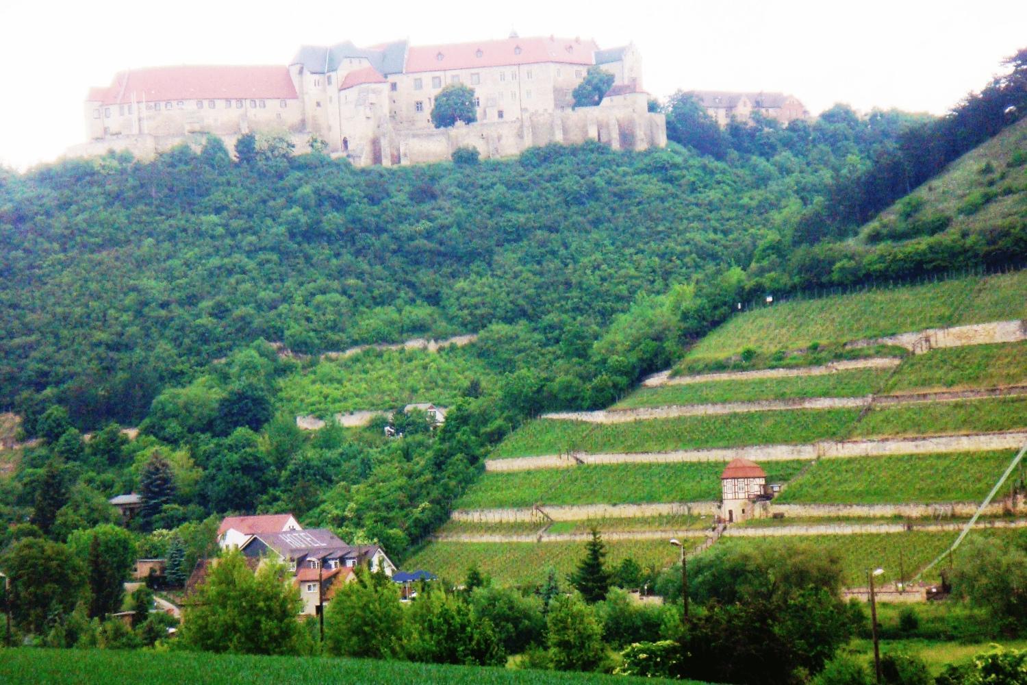Landhotel Weingut Schulze Freyburg Extérieur photo